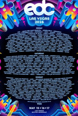 1 VIP TICKET