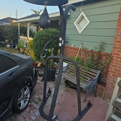 Century Platform With Speed Bag And Heavy Bag 