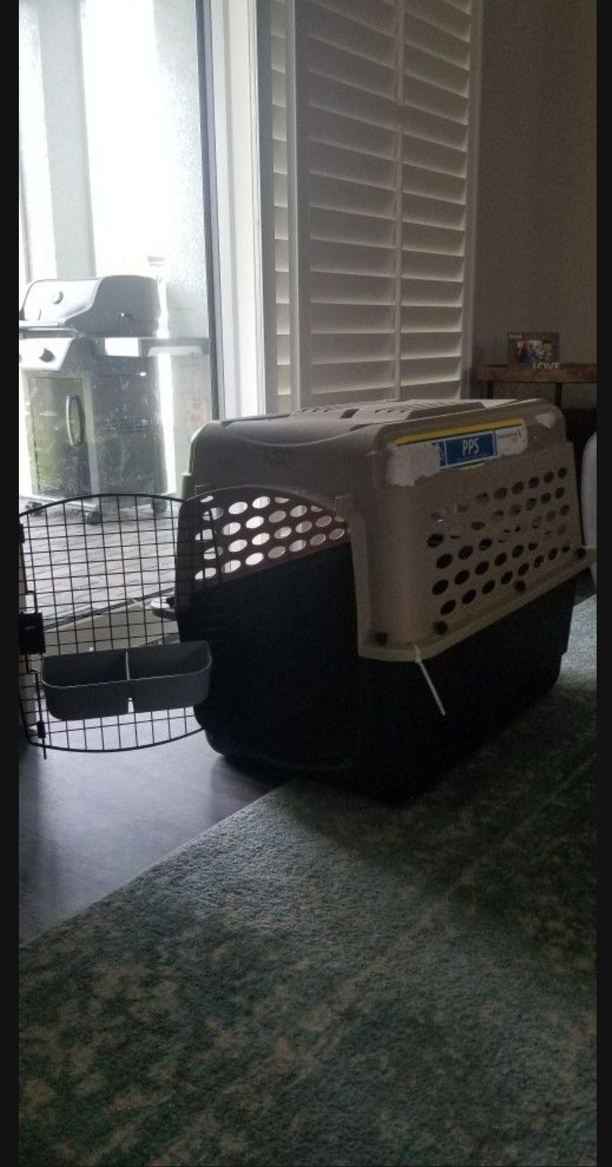 Pet Travel Crate