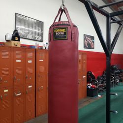 Punching Bag 