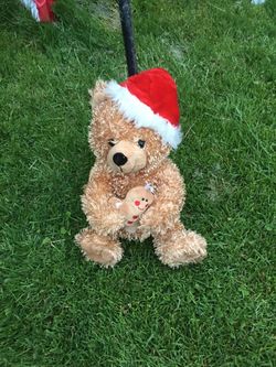 Teddy bears in great condition each $10