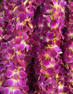Orchid Lei