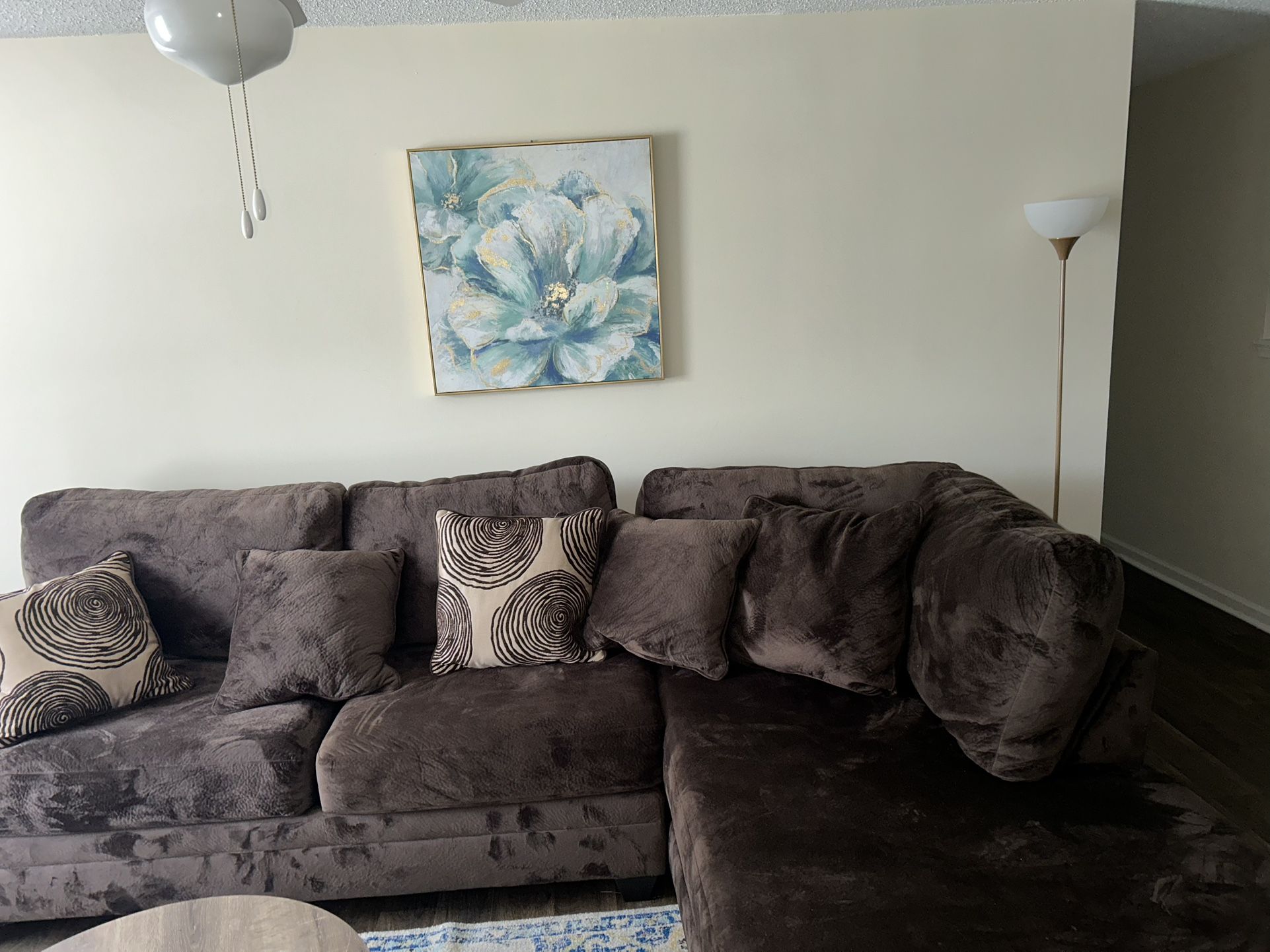 Sectional Couch