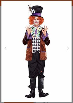 Mad Hatter Halloween Costume Adult