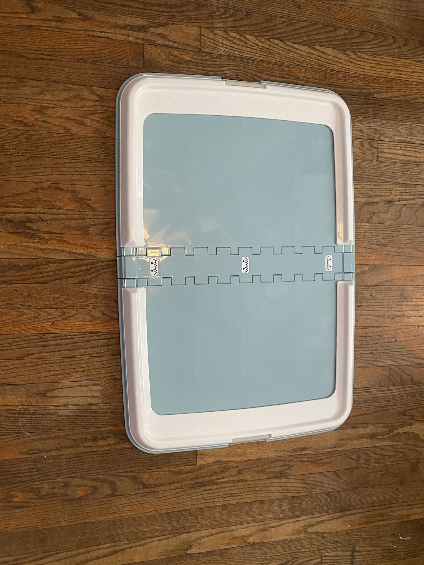 Potty Mat