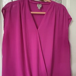 Pink Blouse