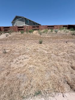 Need Weed Removal on your yard?