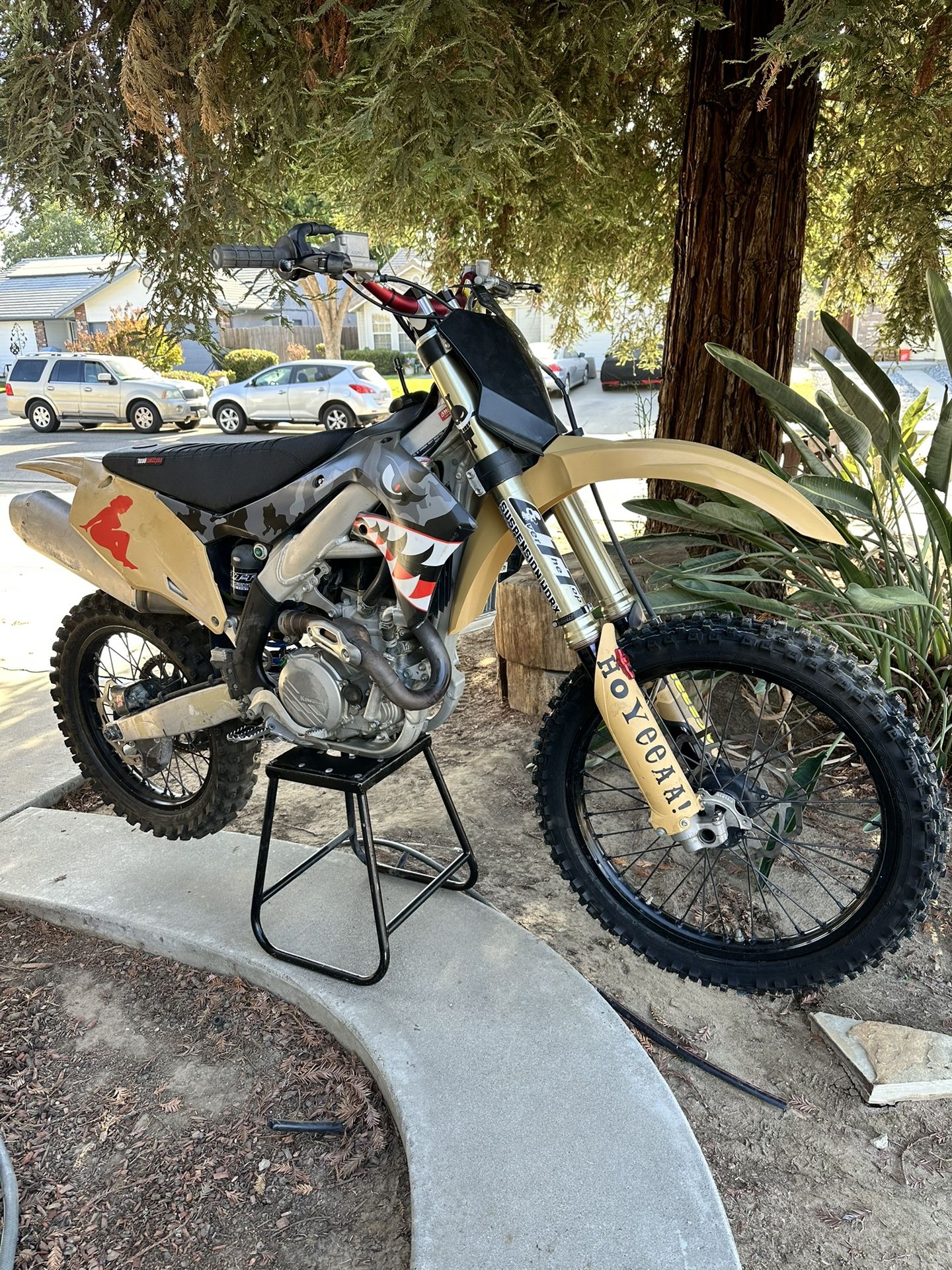 2019 Kawasaki KX 450