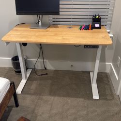 Standing Desk 