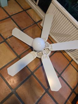 Ceiling fan with light