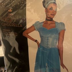 Cinderella costume -Adult Size-XL-Brand New