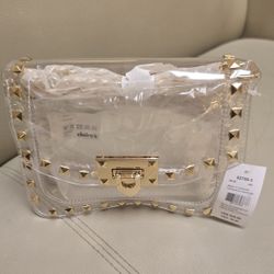 Mini  Purse  Tranparent And Gold 