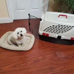 Medium Size Plastic Dog Crate With Bed Very Clean. Measurements In Description 