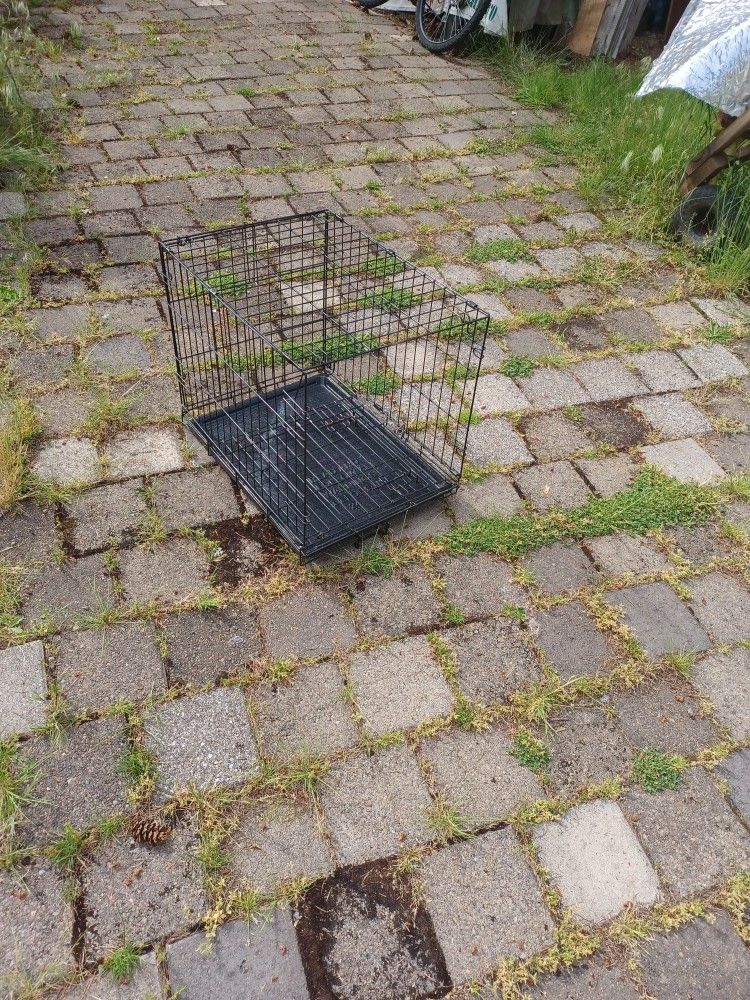 Animal Cage 24x24