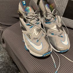 Lebron James Shoe