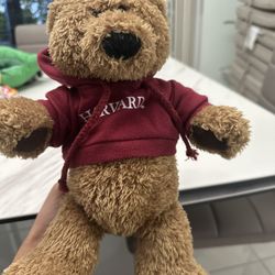 GUND harvard sweater plushie bear