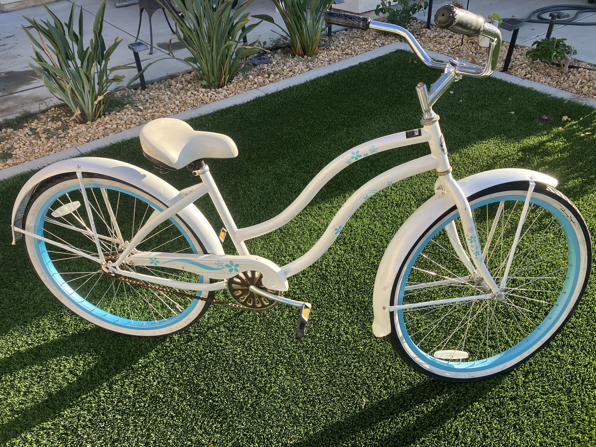 Beach Cruiser