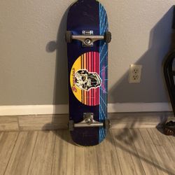 skateboard size 8.25