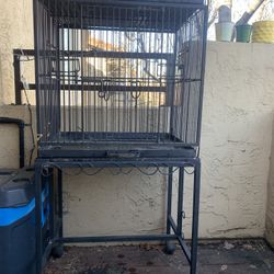 Bird Cage 