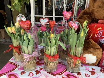 Tulips