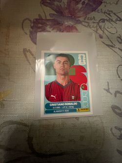 FIFA World Cup sticker