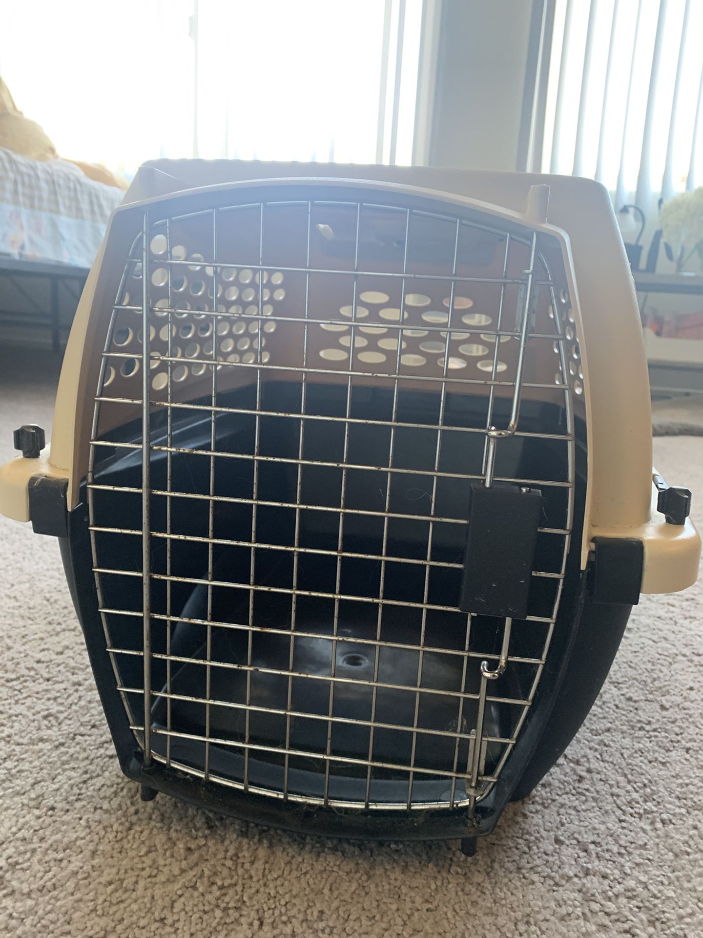 Dog/cat Kennel