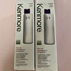 2 Pack - Kenmore 46-9081 Replacement Refrigerator Water Filter 9081