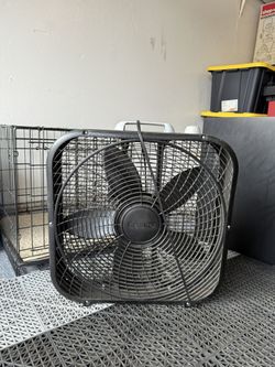 Fan
