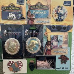 Disney Pin Lot. About 115 Pins. WDI DEC DSSH LE. Plus The PIN BAG