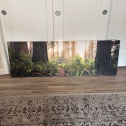 Panoramic Forest Canvas Print - 60 x 20