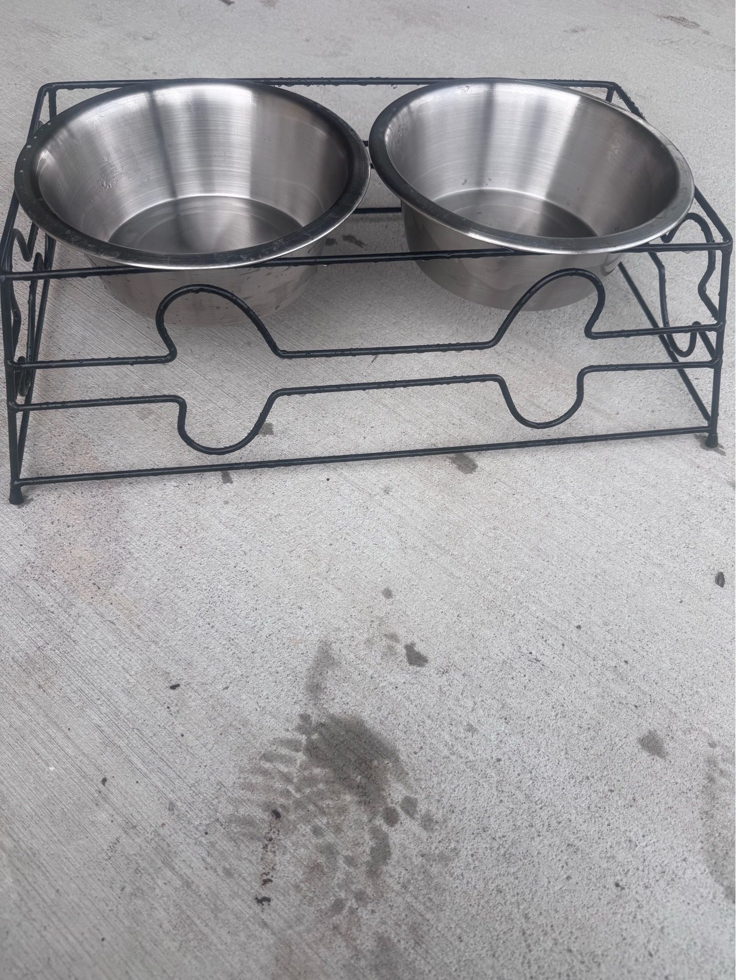 Vibrant Life Elevated Dog Bowls
