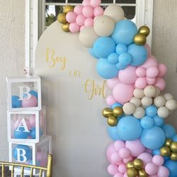 Gender Reveal Ballon Decor With Backdrop