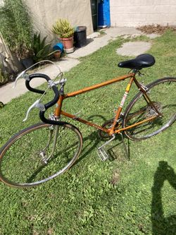 Vintage Schiwnn Sierra Classic Frame 23”just Needs Tires 