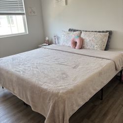 Bed Frame & Mattress
