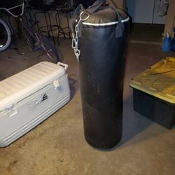 Punching bag