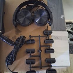 2 Portable TV Head Rest