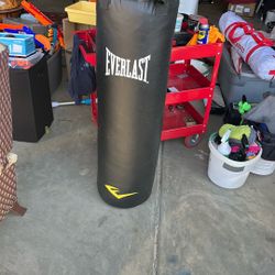 Everlast Punching Bag - 70 Lbs