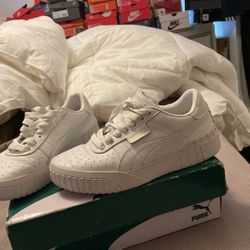 Puma
