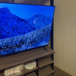 55inch Tv + Tv Stand 