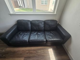 Black Couch