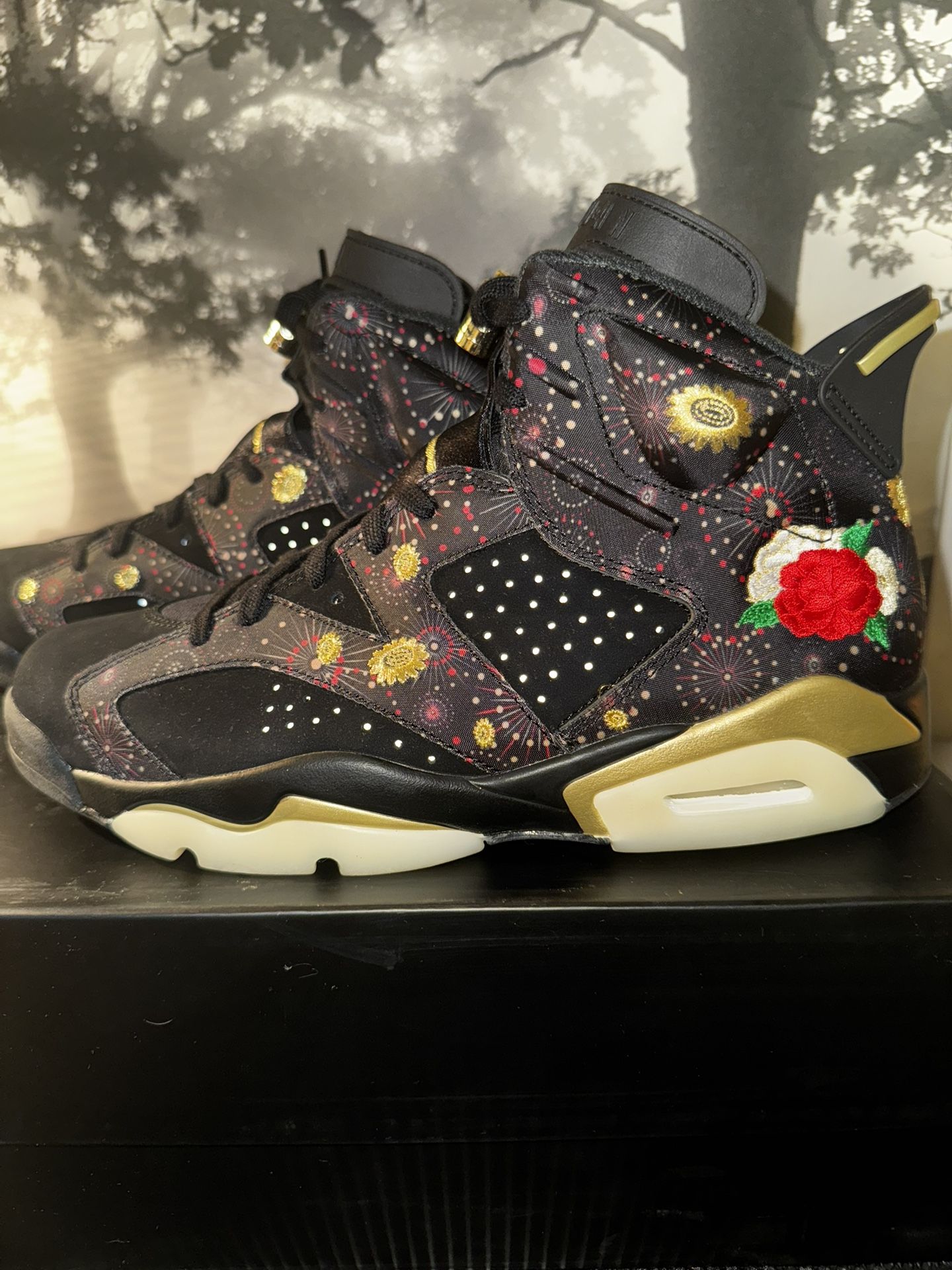 2017 AIR JORDAN 6 CHINESE NEW YEAR! Size 9.5