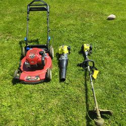 Landscaper Special 22-in Toro Recycling Lawn Mower 4-cycle Ryobi Weed Wacker Two-cycle Air Jet Flow Blower
