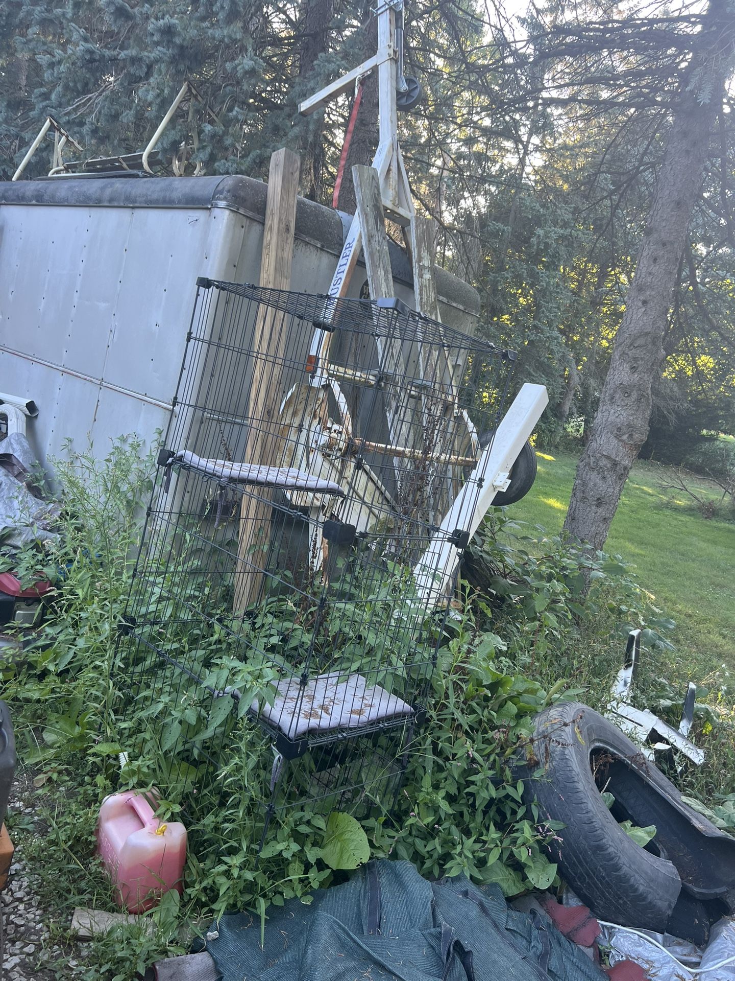 5 Foot Tall Multi Level Animal Cage