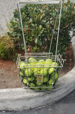 Tennis Ball Hopper - Hoag