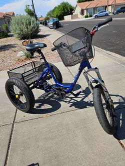Mt Trike fat tire adult tricycle trike