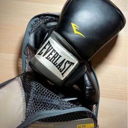 Everlast 16oz Boxing Gloves 