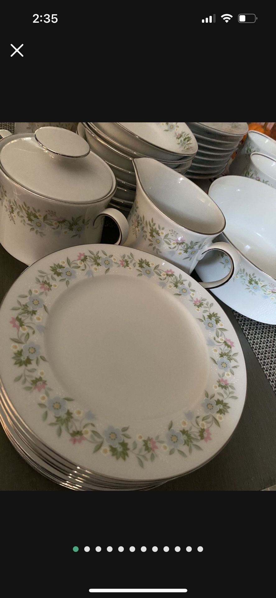 44pc Bavaria Haviland Germany Spring Pattern China Set