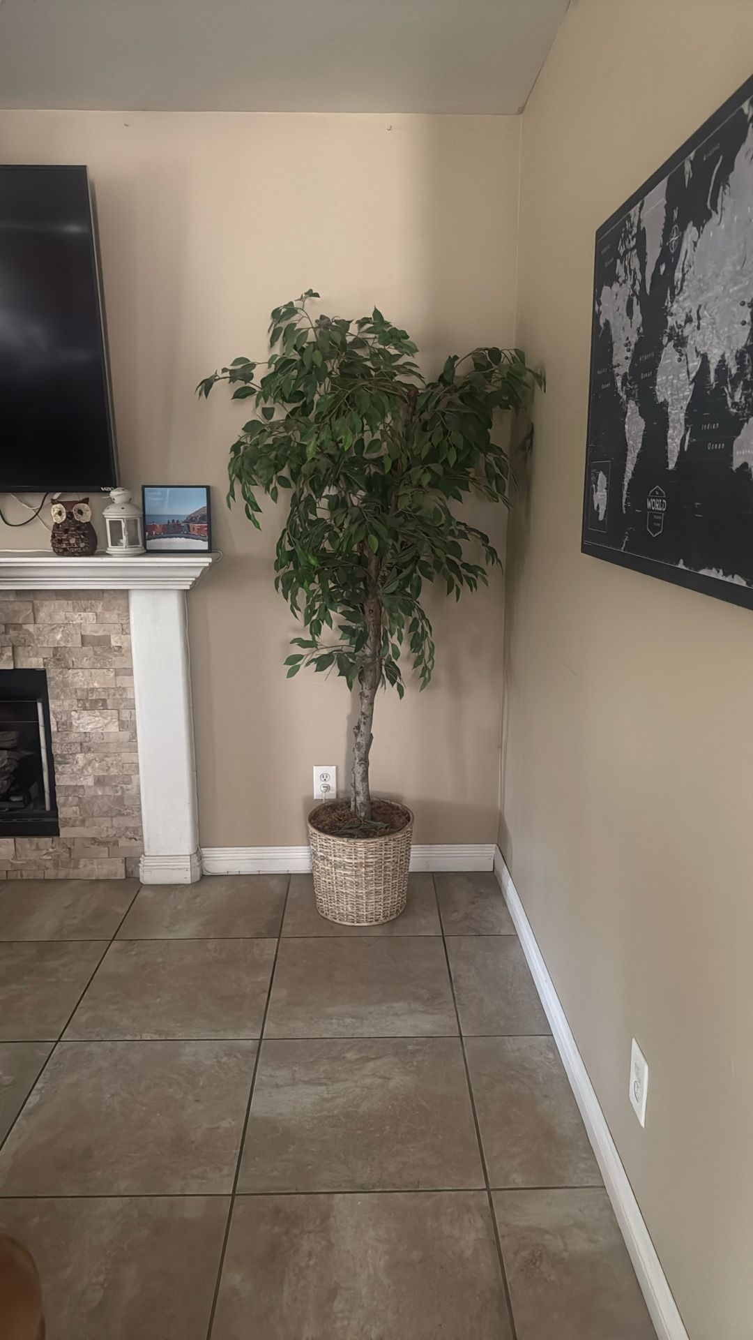 Fake Plant