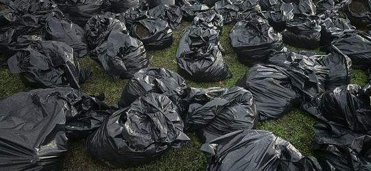 Free Garden Soil Self Pickup