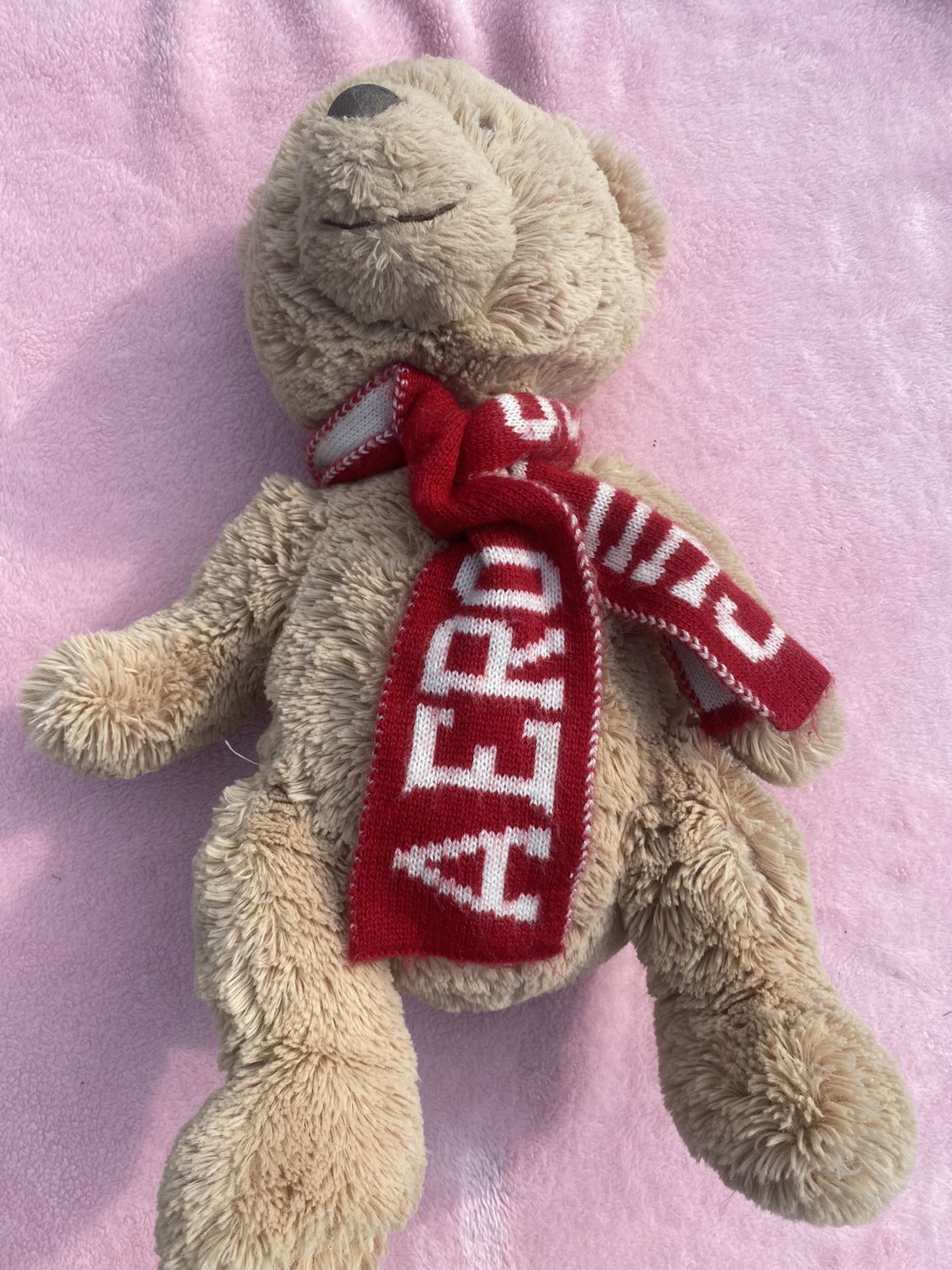 Aeropostale Teddy Bear Tan Plush Toy Stuffed Animal With Chill Knit Red Scarf